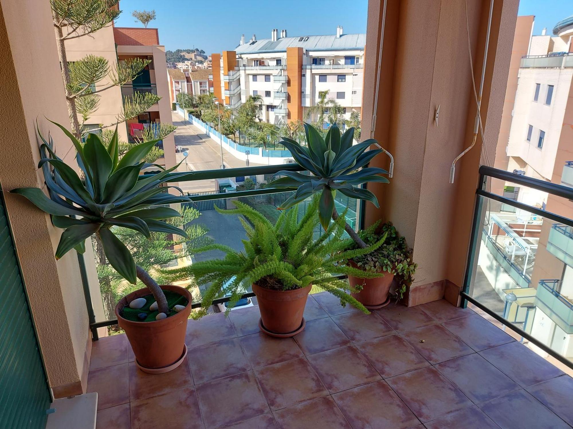La Darsena Dénia